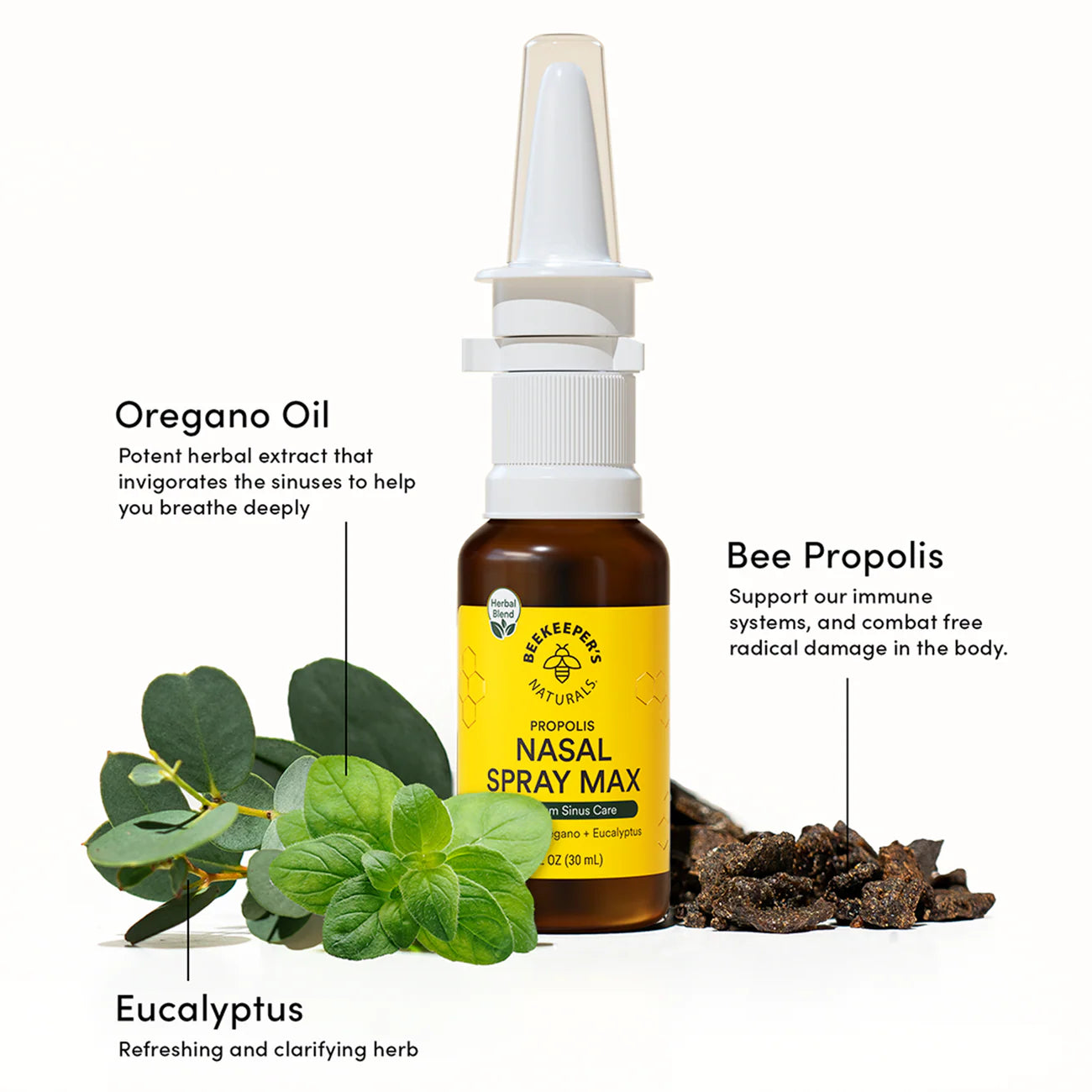 BEEKEEPERS NATURAL - Saline Nasal Spray Max - 1 fl oz