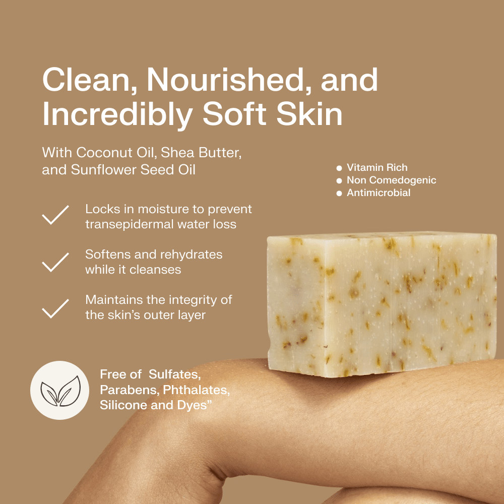 The Earthling Co. - Body Wash Bar | Natural & Hydrating : Black Lava Salt