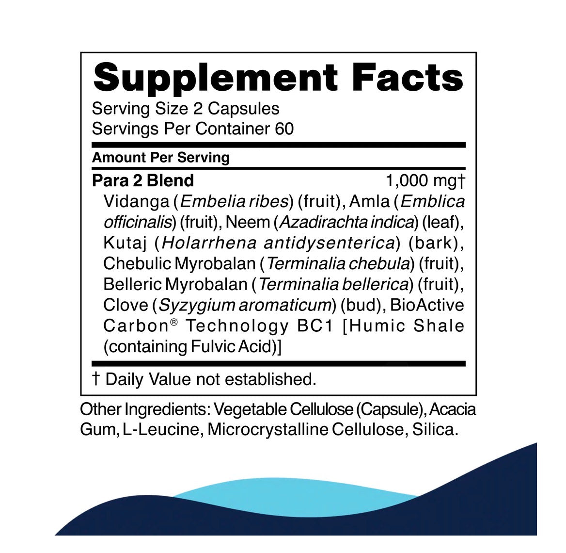 CELLCORE- Para 2 Supplement