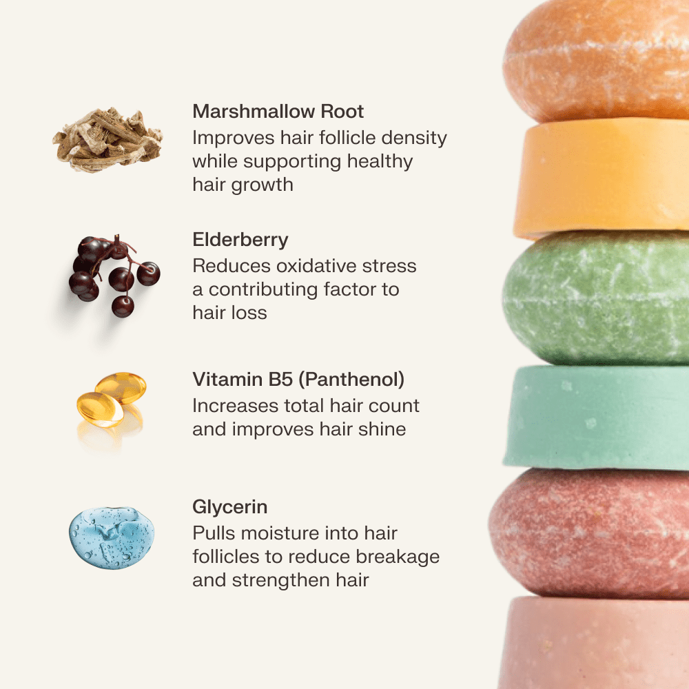 The Earthling Co. - Conditioner for Hair Strength and Moisture: Citrus Sun