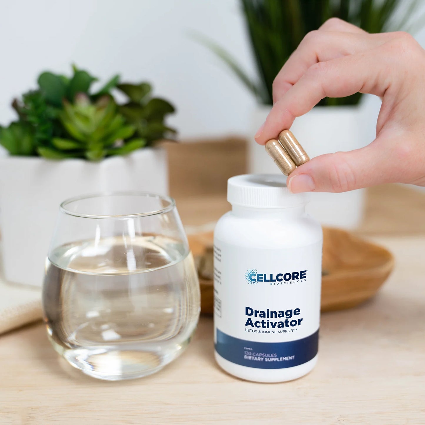 CELLCORE Drainage Activator