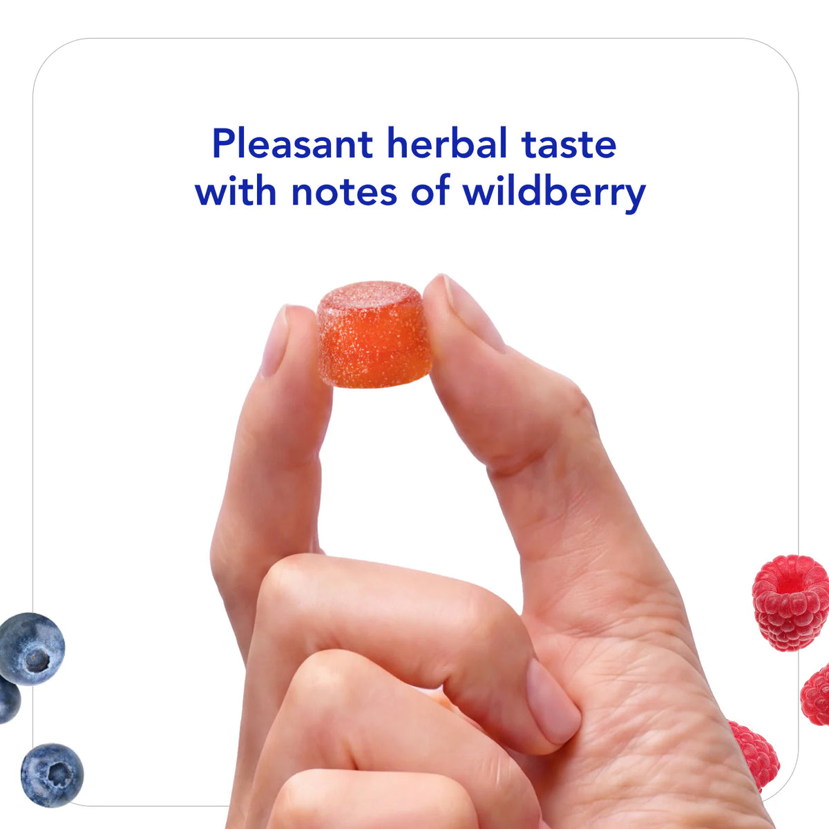 Biocidin - Gummies