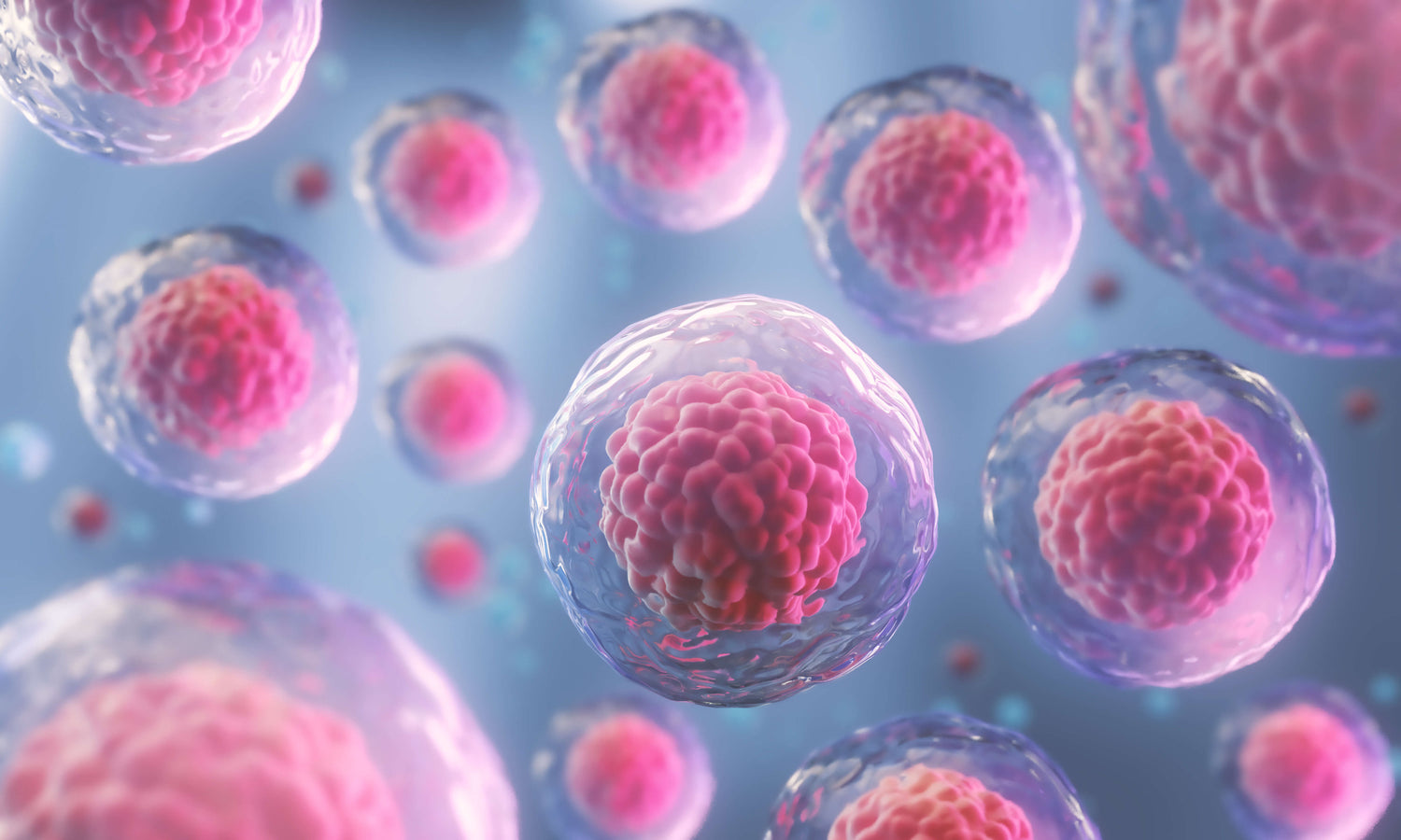 Cellular Detox