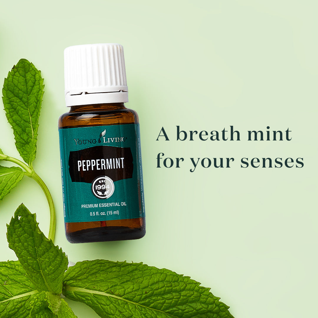 Peppermint Essential Oil - 15ml