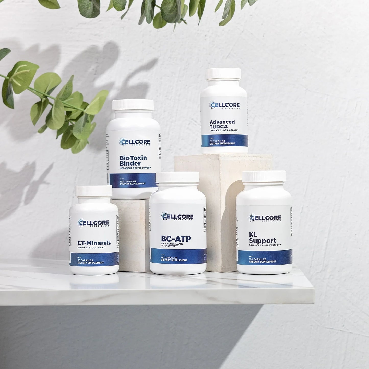 CELLCORE MYC Support Kit