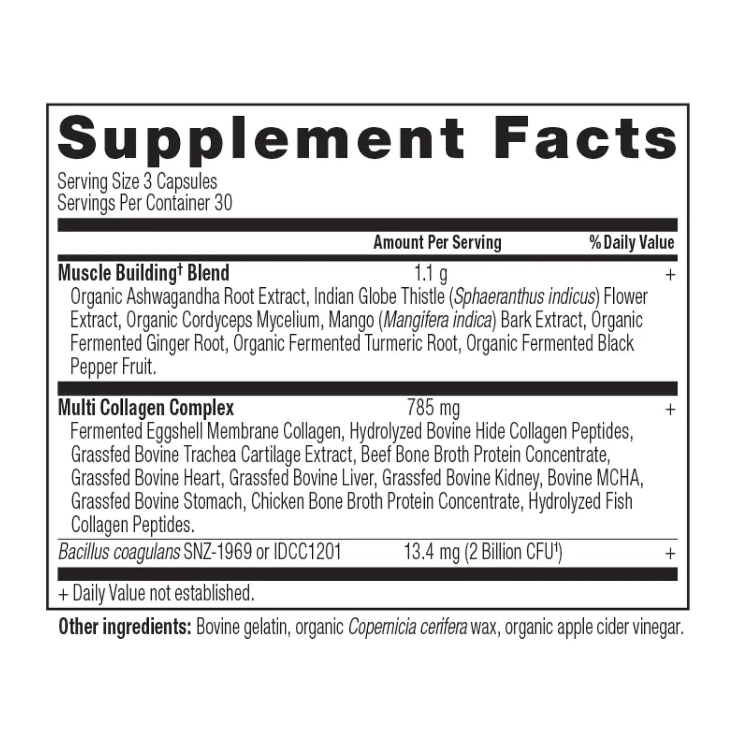 ANCIENT NUTRITION - Multi Collagen Advanced - Muscle - 90 capsules