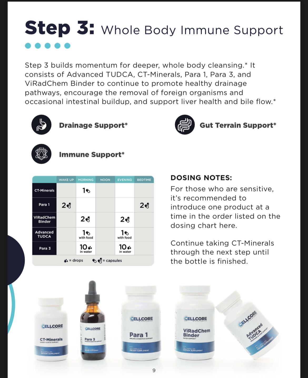 Cellcore Foundational Protocol Step 3